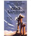 BLACK NARCISSUS  – Narciso nero di Powell & Pressburger